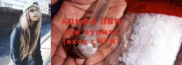 молекула духа Няндома