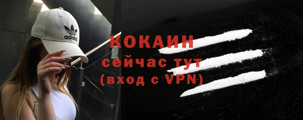 мяу мяу мука Гатчина