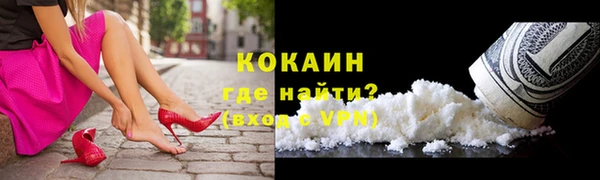 мяу мяу мука Гатчина
