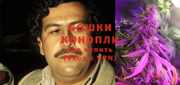 молекула духа Няндома