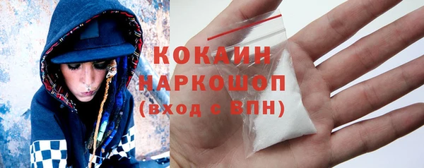 молекула духа Няндома