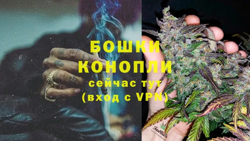 где можно купить   Ленинск  Бошки марихуана OG Kush 